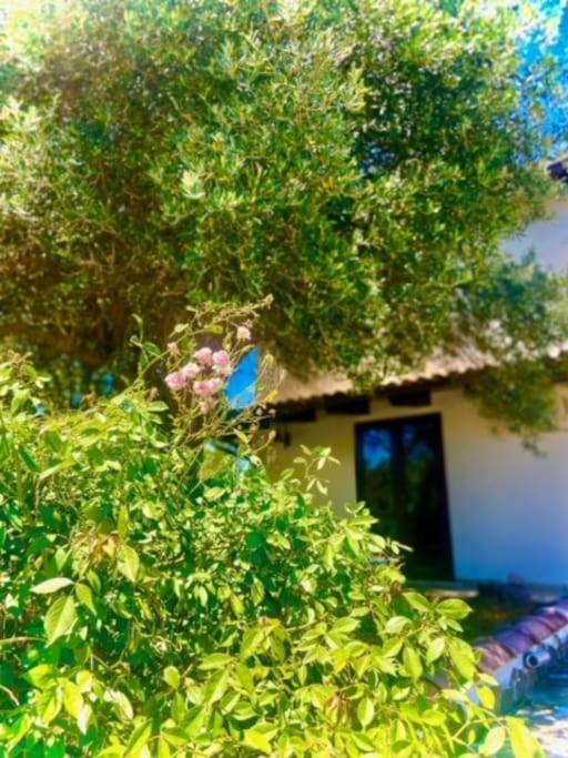 Camera Villa Sarda Aurora Elmas Exterior foto